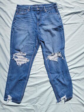 American Eagle Curvy Mom Jean